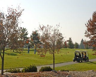 Whitebirch Resort At Breezy Point 외부 사진